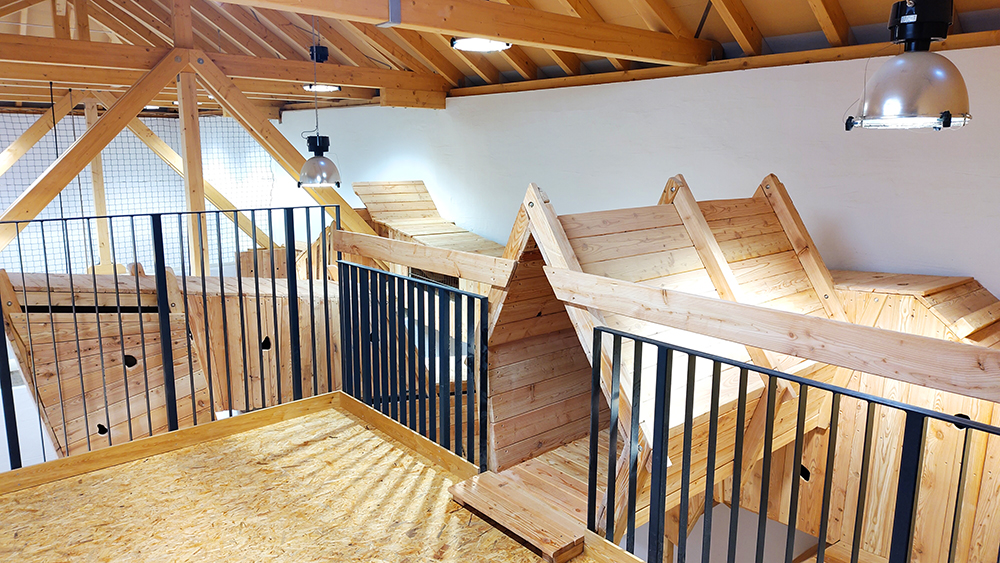 spielplatz_Kinderbude_zeithain_3